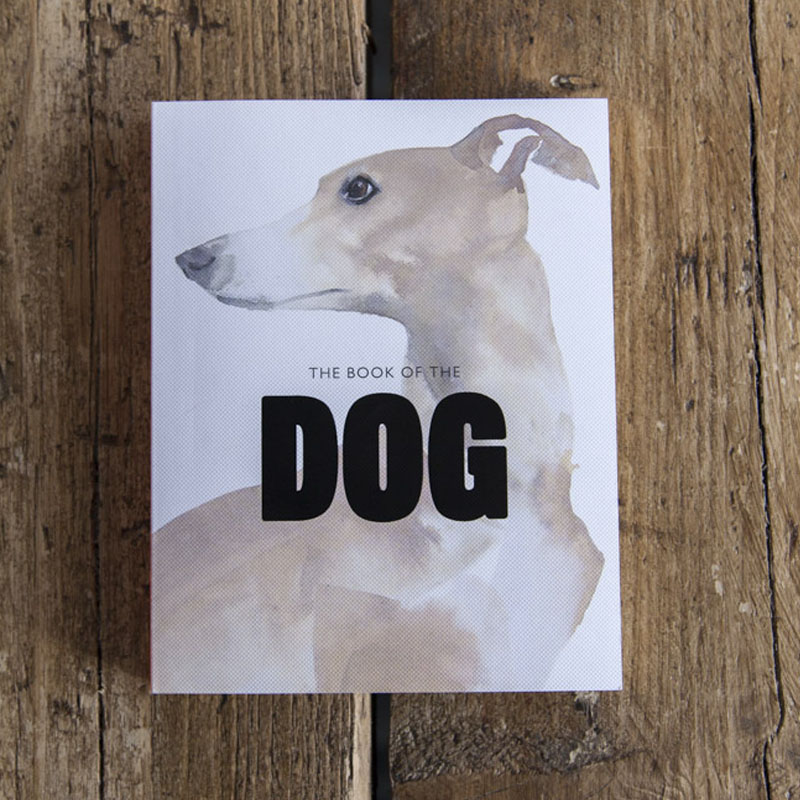 bookdog books review bookdog books review